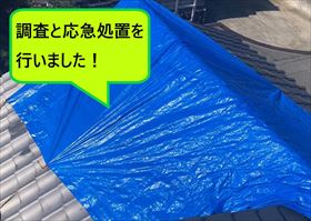 堺市南区にて強風被害で屋根瓦が落下したお宅の応急処置を行った様子