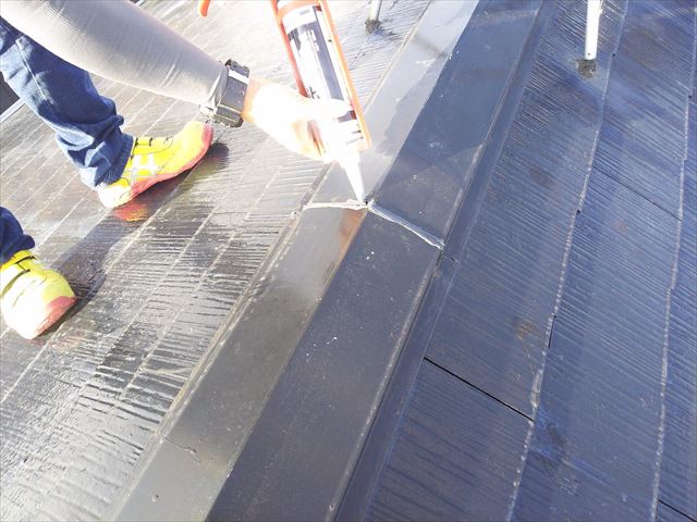 屋根その他棟板点検補修