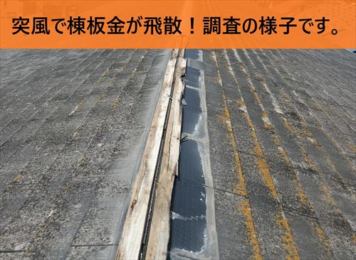 藤井寺市で台風時の突風により棟板金一部が飛散｜応急補修を行い棟板金取替えのご提案をしました。