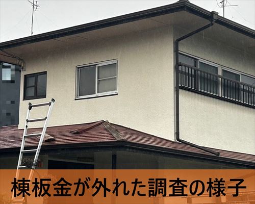 堺市南区でリピーター様より屋根棟板金が外れたとご相談｜現地調査を行い応急処置を行いました