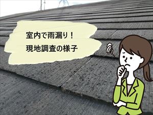 堺市西区で２階和室から雨漏りが発生｜現地調査の様子