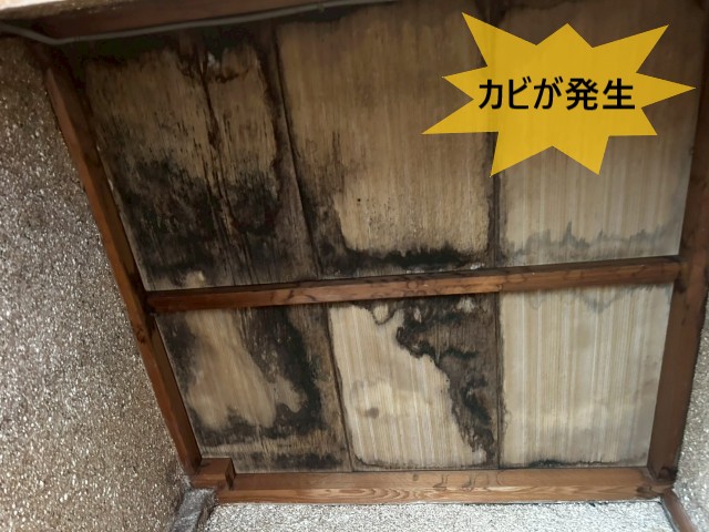 カビが発生