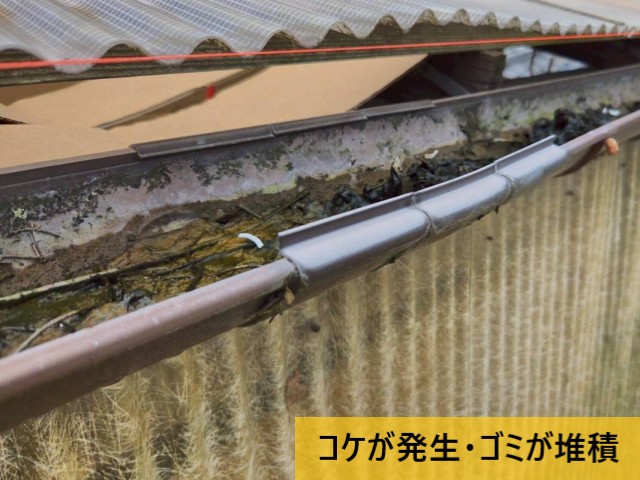 中央から雨水あふれ