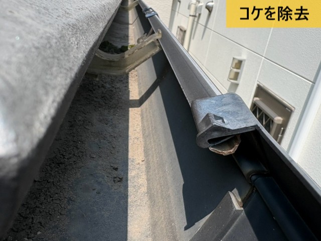 コケを除去