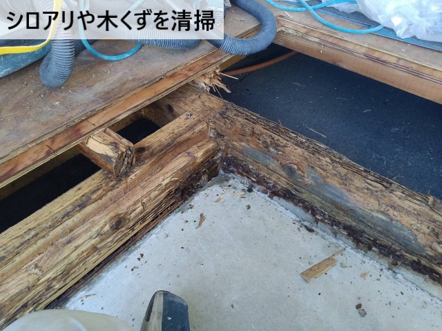 シロアリや木くずを清掃
