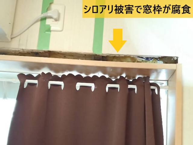 シロアリ被害で窓枠が腐食