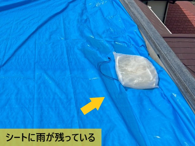 シートに雨が残っている