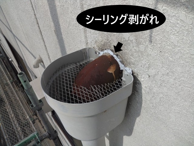 シーリング剥がれ