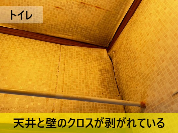 トイレの天井と壁のクロスが剥がれている