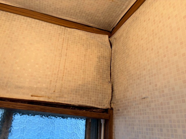 トイレ壁　傷み