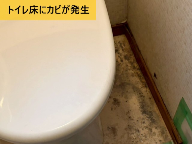トイレ床にカビが発生