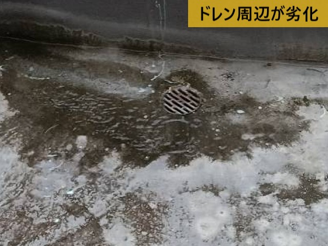堺市東区｜1階天井の雨漏りを調査｜原因はベランダのドレン劣化と防水面の傷み