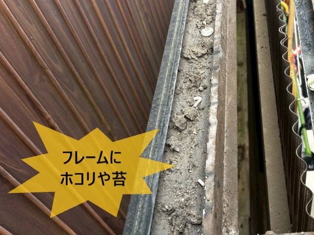 フレームにホコリや苔