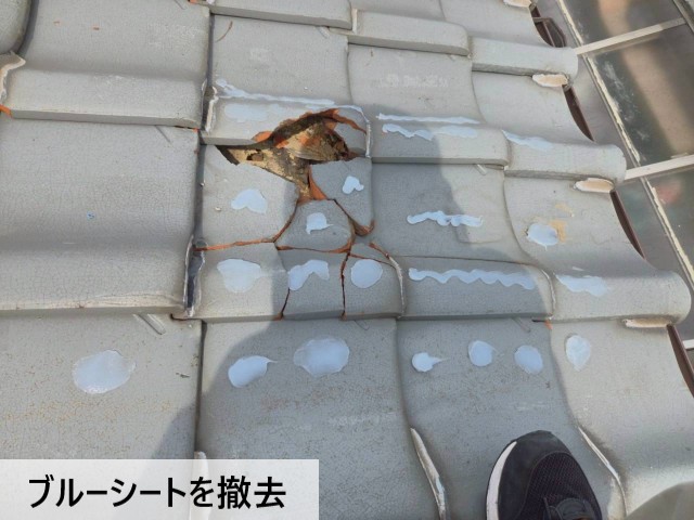 ブルーシートを撤去