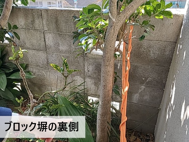 ブロック塀の裏側