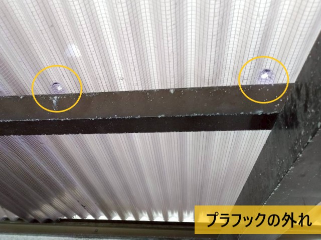 プラフックの外れ