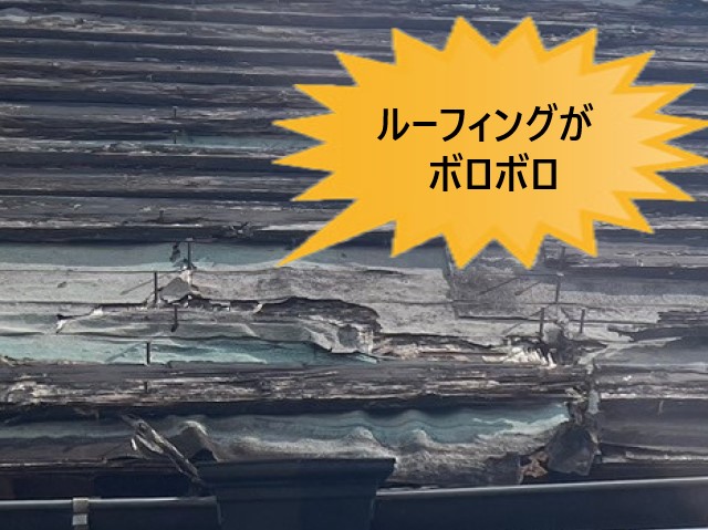 堺市中区にて店舗の渡り廊下屋根が老朽化｜木製屋根は腐食してルーフィングが破れ、防水機能が著しく低下していました