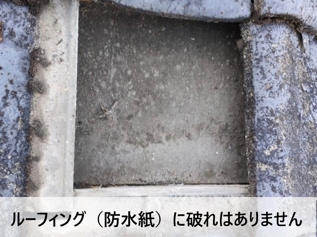 ルーフィングに破れなし