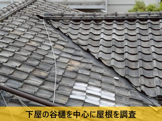 下屋の谷樋を中心に屋根を調査