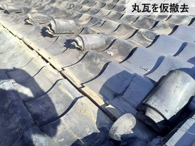 丸瓦を仮撤去