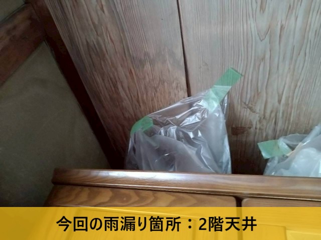 今回の雨漏り箇所  2階天井