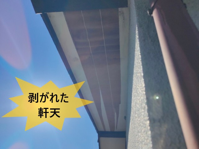 松原市にて軒の裏側が剥がれたとご相談｜強風で剥がれた軒天にカバー工事をご提案