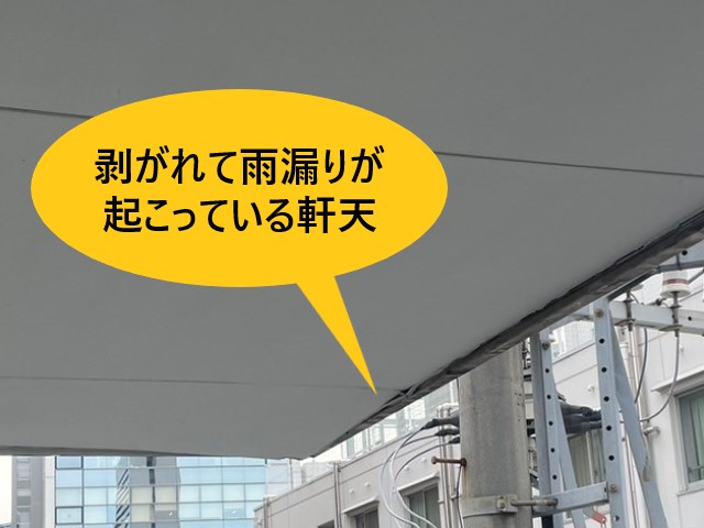 堺市堺区にて鉄骨オフィスビルの軒天・ベランダ床防水が老朽化｜ビルや会社の雨漏り修理もご相談下さい