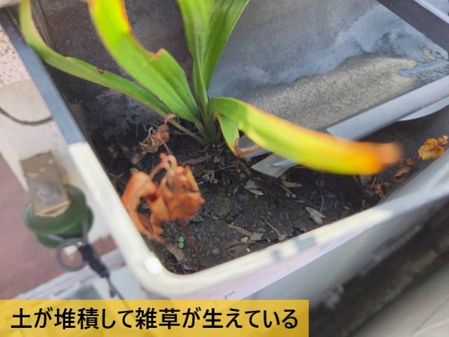 【堺市南区】雨樋から水が溢れる原因を調査｜上合の詰まりを清掃し、軒樋を補修