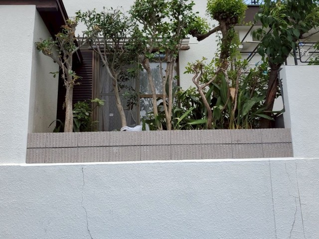 塗装完了