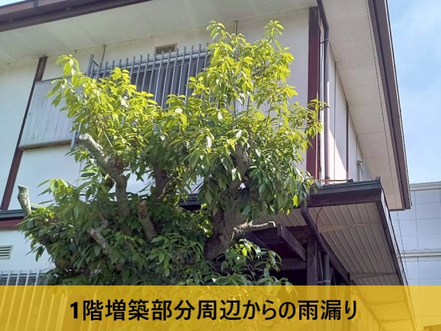 1階増築部分周辺からの雨漏り