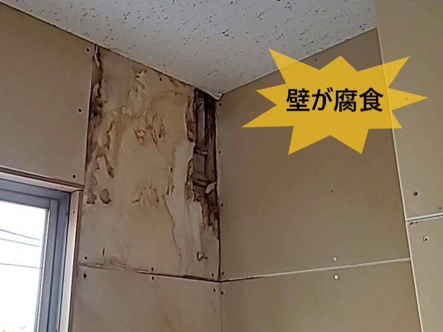 壁が腐食