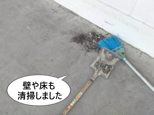 壁や床も清掃