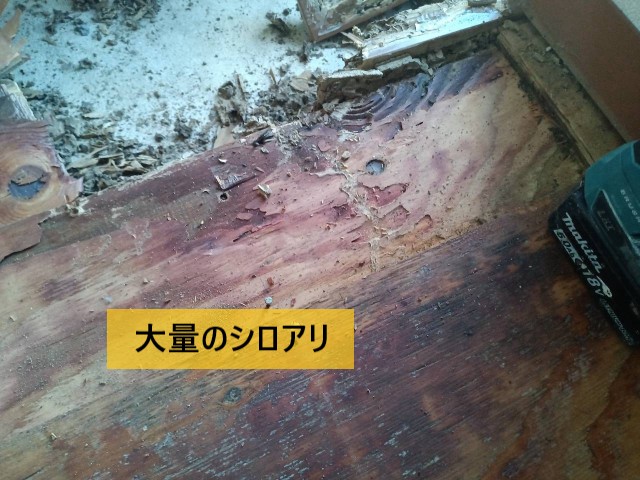 【堺市東区】玄関の床がフカフカする原因はシロアリ｜傷んだ床材の交換と防蟻処理