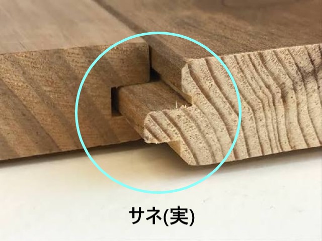 天井　サネ