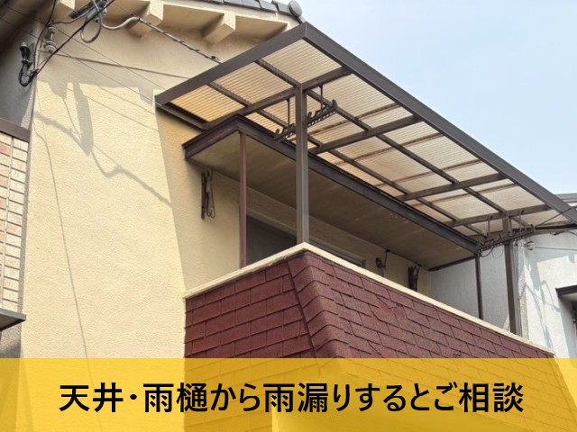 天井、雨樋から雨漏りするとご相談