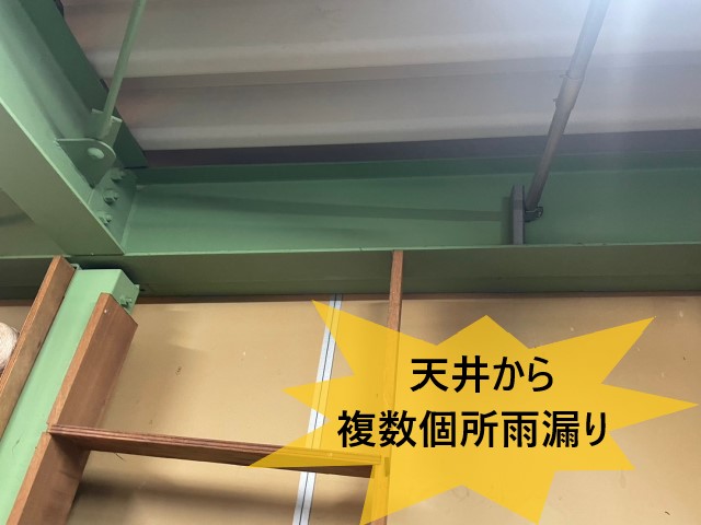 堺市中区にて折板屋根工場の雨漏り点検｜工場や倉庫の点検・メンテナンスも当店にお任せください！