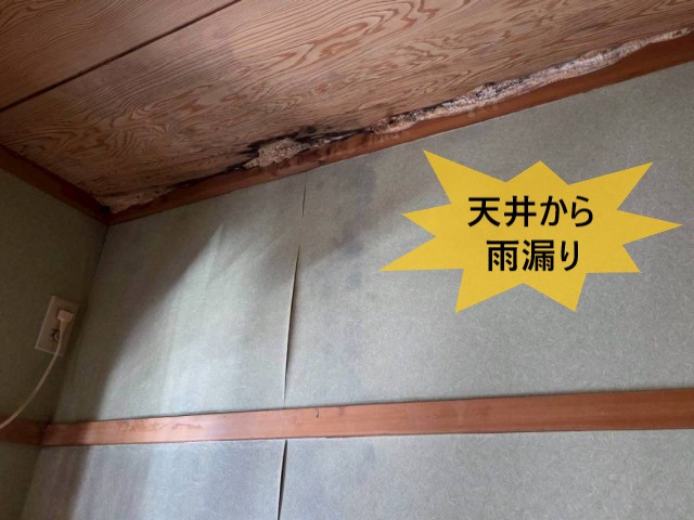 天井から雨漏り
