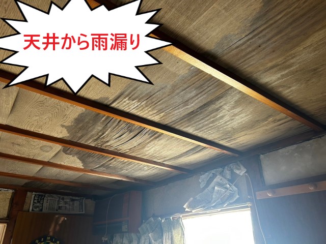 堺市東区にて老朽化した離れに雨漏りが発生｜劣化したセメント瓦から雨水が侵入していました