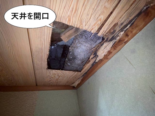 天井を開口
