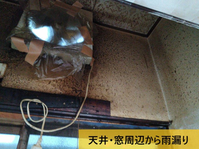 天井・窓周辺から雨漏り