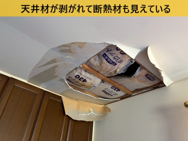 【堺市堺区】陸屋根のシート防水から雨漏り発生｜3階天井の剥がれを調査