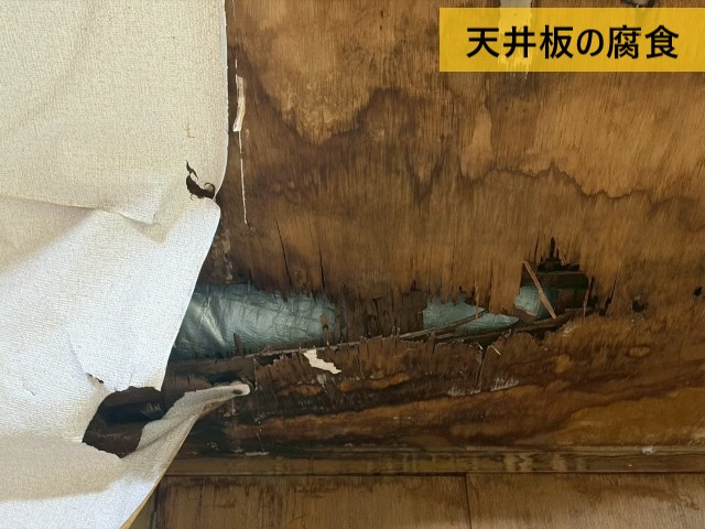 天井板の腐食