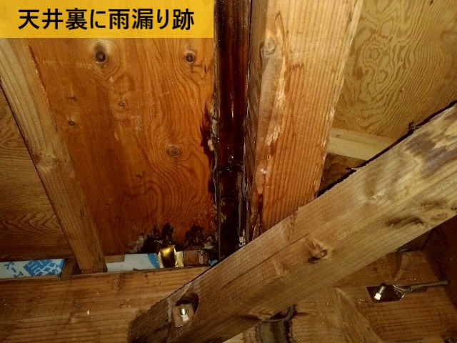 天井裏に雨漏り跡