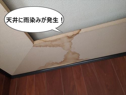 堺市美原区で室内天井に雨染みが発生！棟瓦の漆喰劣化や壁際の隙間が原因かと思われます。