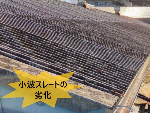 堺市西区にて築50年工場の雨漏り調査｜小波スレート屋根の老朽化が原因