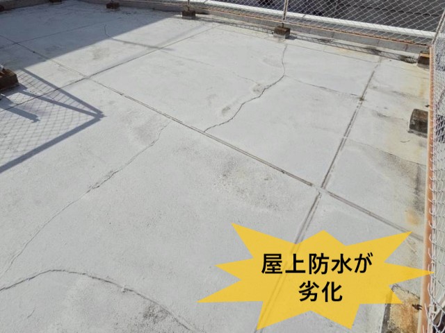 【堺市北区】3階和室の雨漏りを調査｜築40年の鉄骨造住宅で屋上防水の劣化を確認