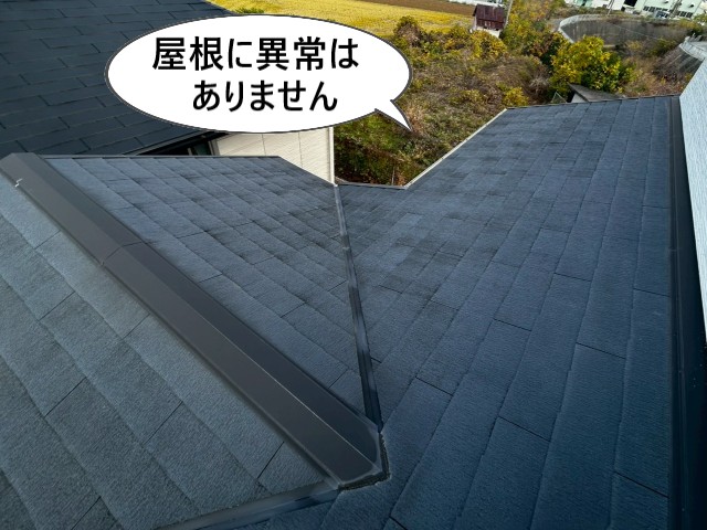 屋根に異常なし