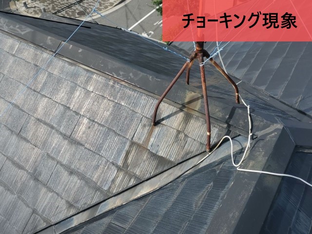 屋根の塗膜剥がれ
