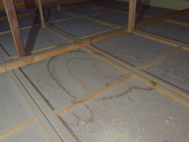 屋根裏　雨染み