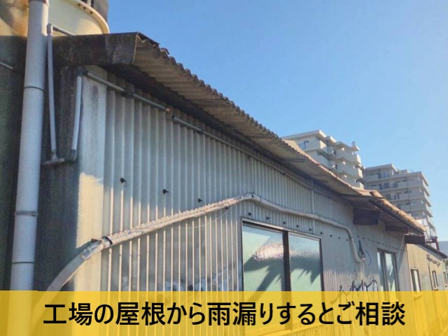 工場の屋根から雨漏りするとご相談
